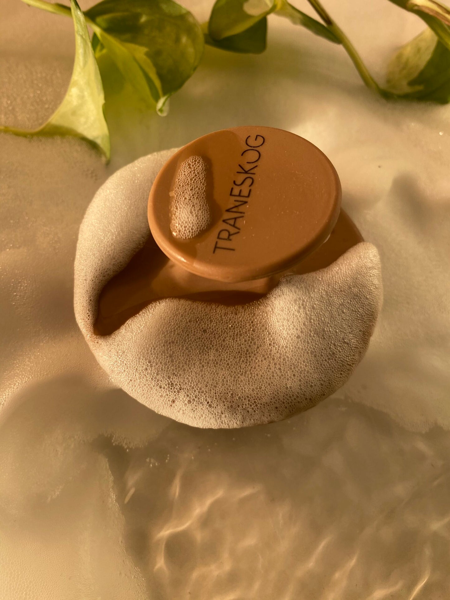 Traneskog scalp brush